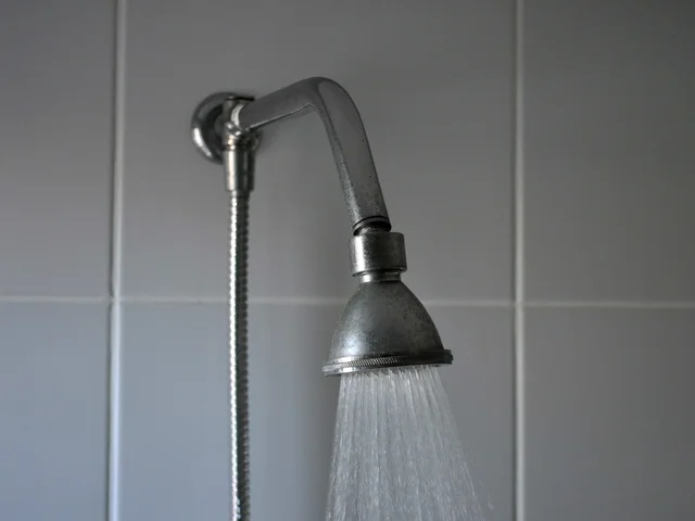 Chuveiros E Duchas Elétricas - advanced e maxi ducha (Chuveiros e Duchas)